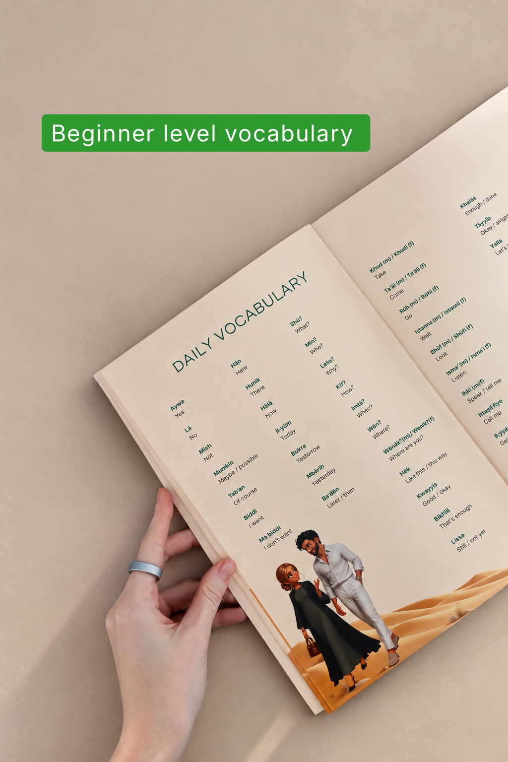 Beginner level vocabulary: the Daily Vocabulary spread, spoken Arabic words with English meanings